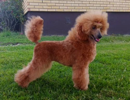 Locki6months